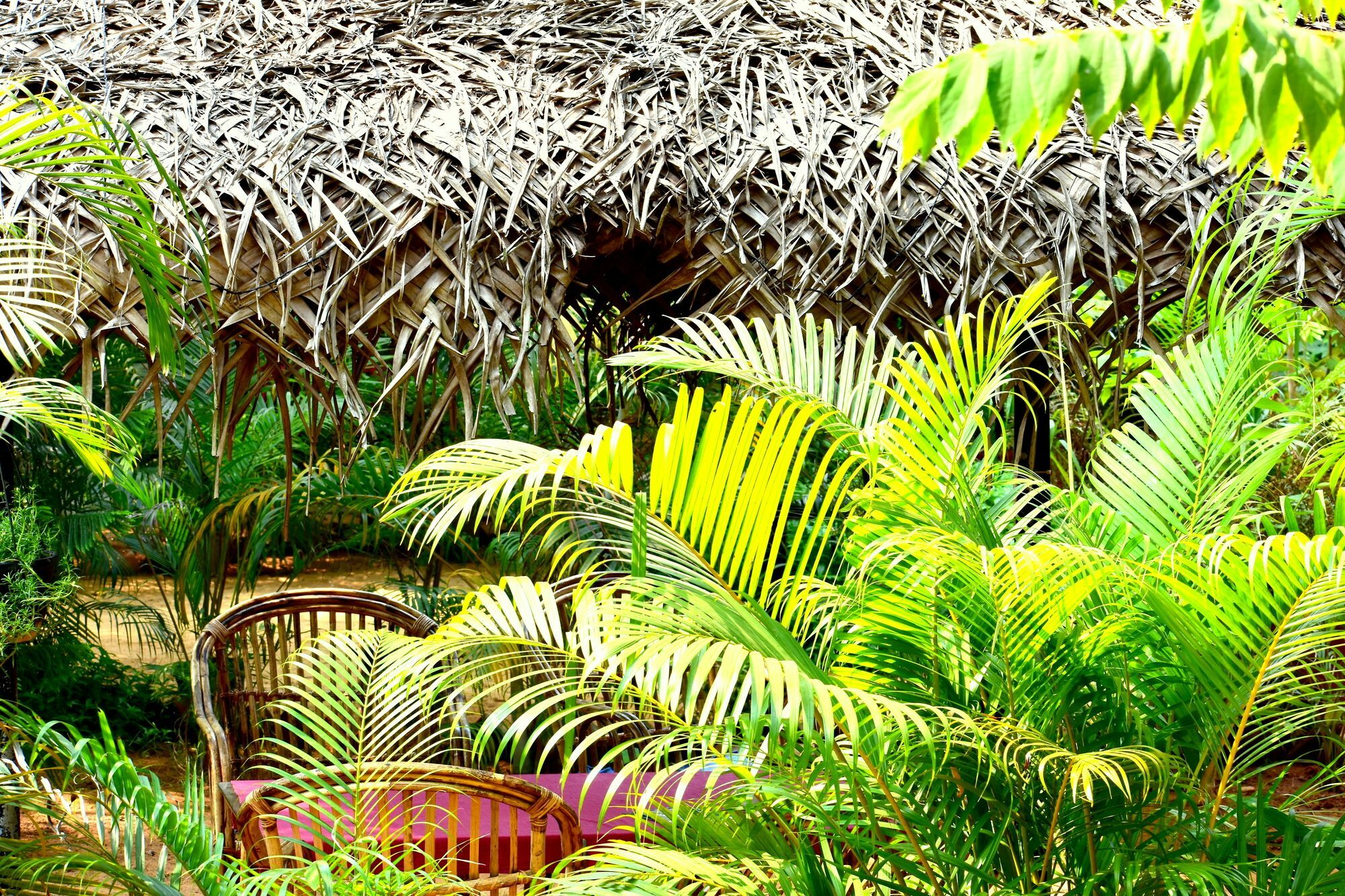 Patnem Garden Resort Patnem Beach Ngoại thất bức ảnh
